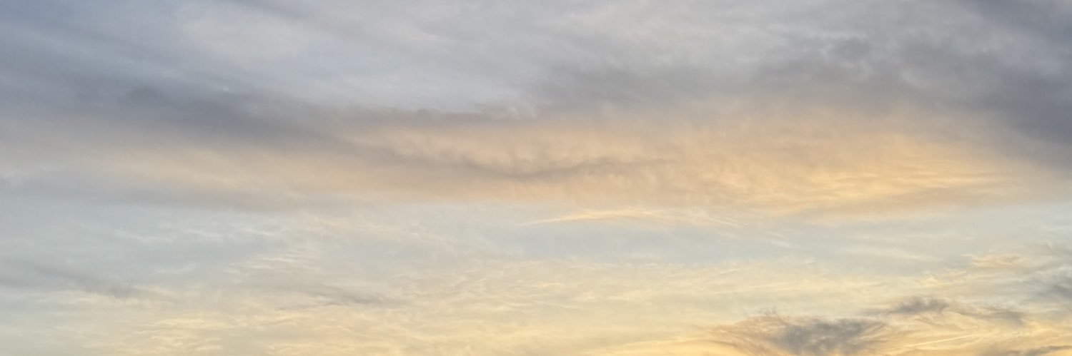 松本 真央's banner