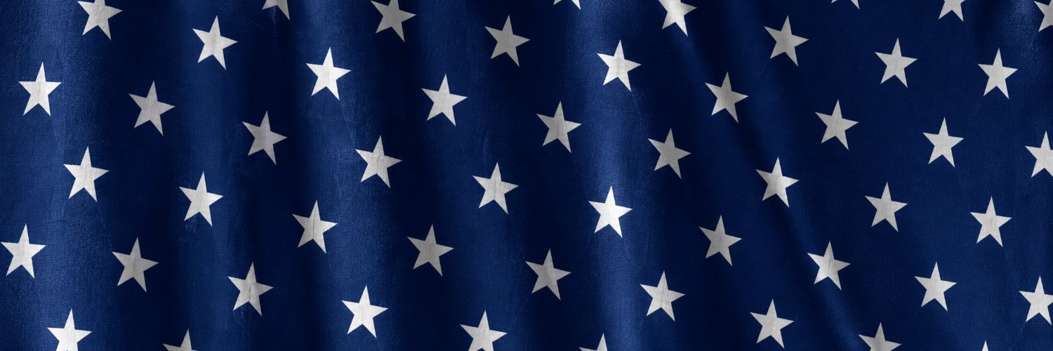 Lotz of Facts 🇺🇸's banner