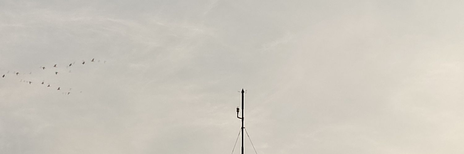 ytta's banner