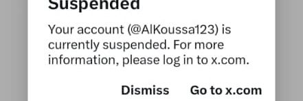 Chikri Koussa شكري كوسا's banner
