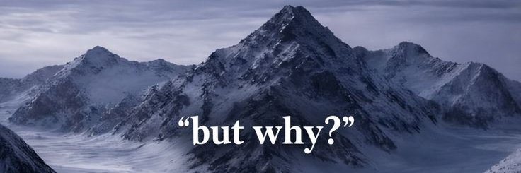 Mans Ascent's banner