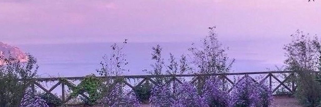 `'s banner