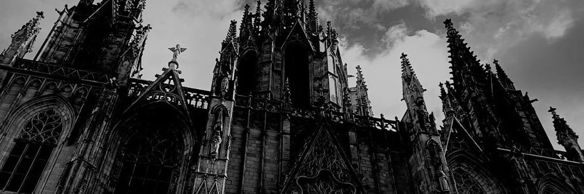 𝐓𝐎𝐑𝐎 𝐒𝐌𝐈𝐑𝐍𝐎𝐕𝐀𝐇's banner