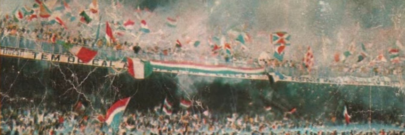 NENZE 🇭🇺's banner