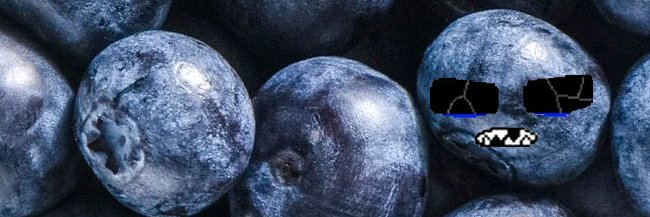 Equiuslover41 of verity's banner
