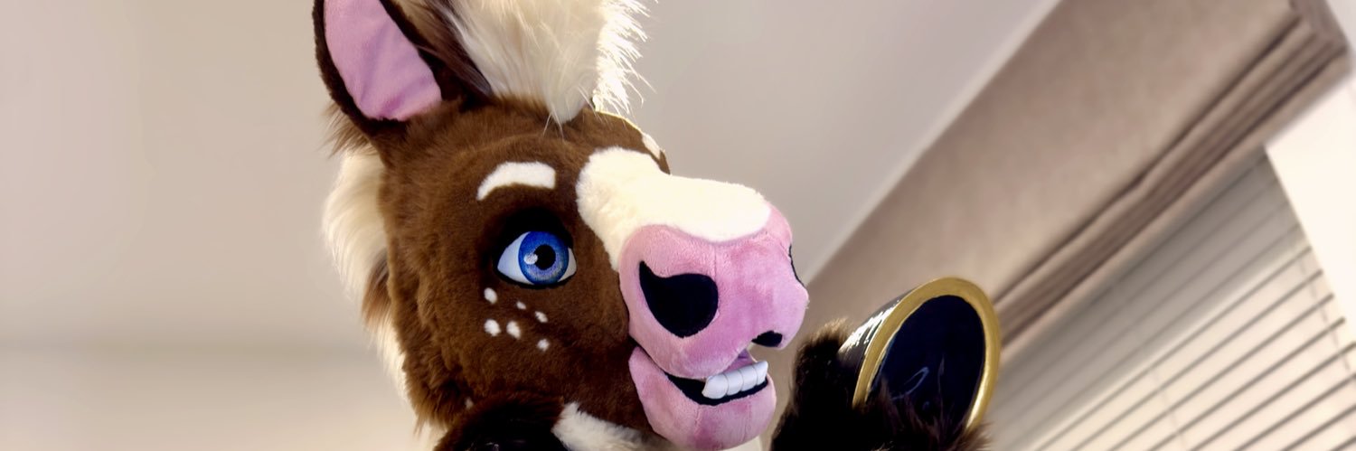 Bailey The Hoss ✨@ CFz's banner