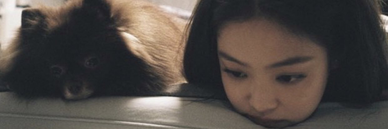 ◡̈ ᴿ's banner