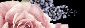 Nissanrose 🌷's banner