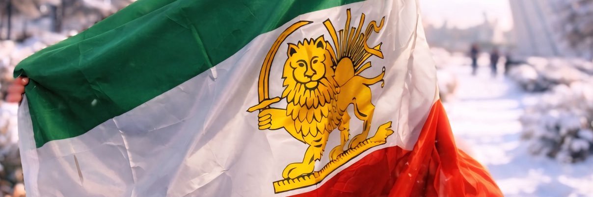 Kimia Alizadeh's banner