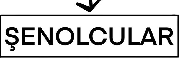 Şenol Güneş Arşiv's banner