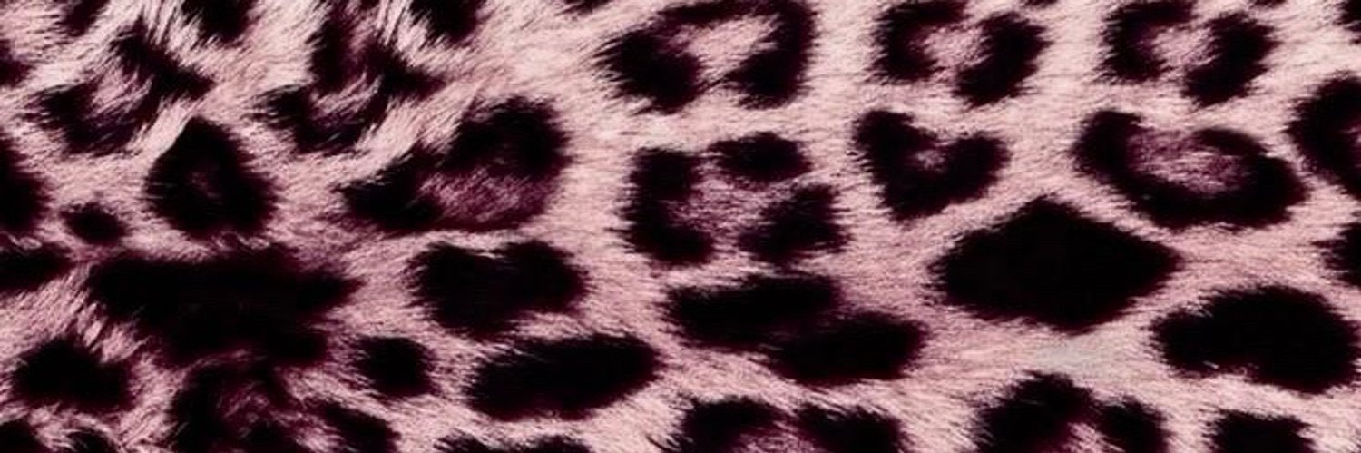 𝔳𝔞𝔪𝔭𝔦𝔯𝔞's banner
