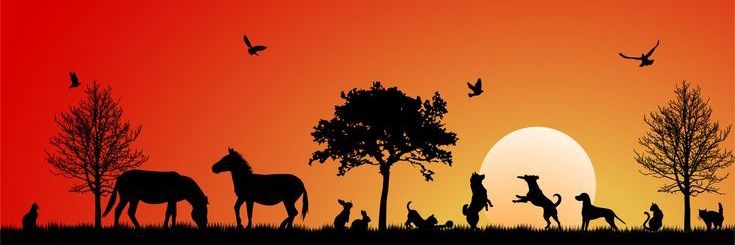 TinyWildTales's banner