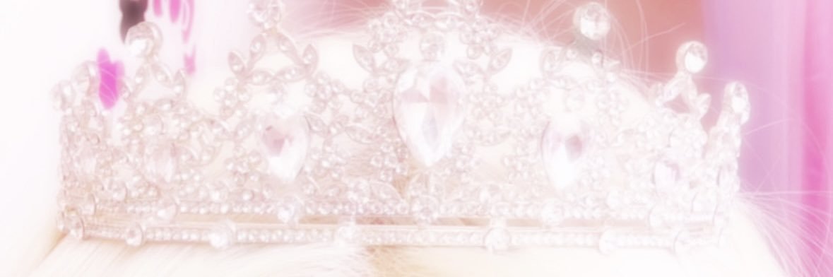 Prinzessin der Welt's banner