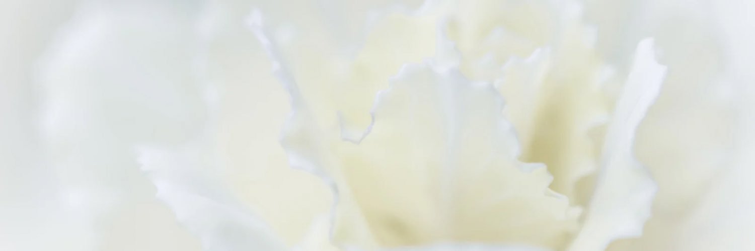 女神ちゃん's banner