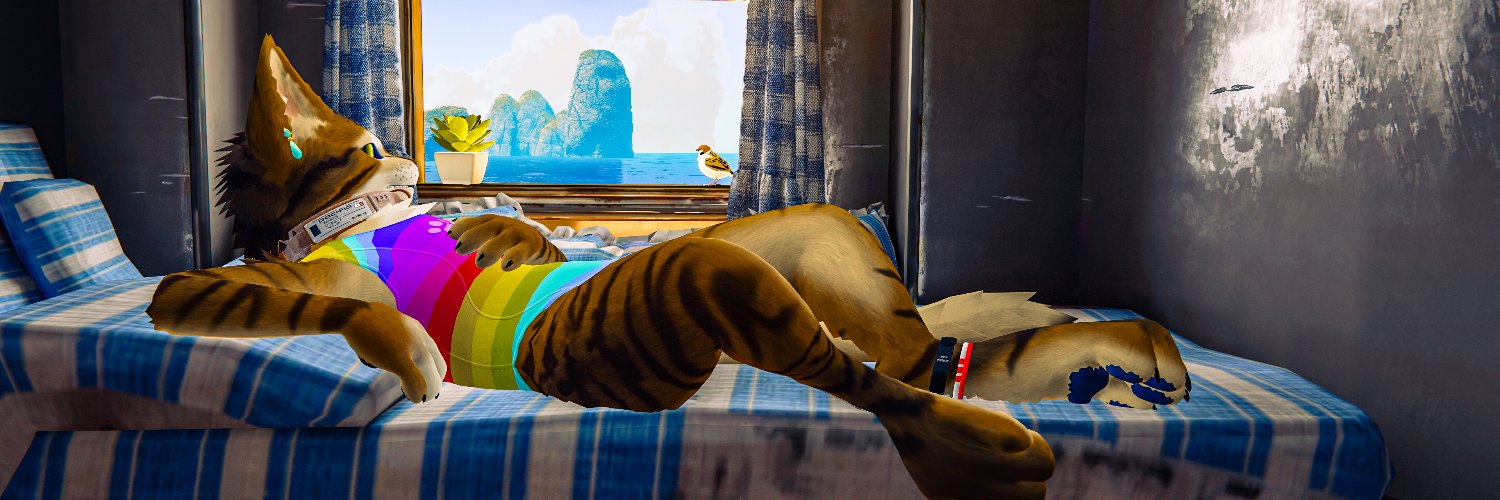 Sunset Gato's banner