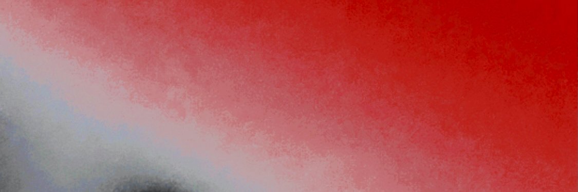 Leafy's banner