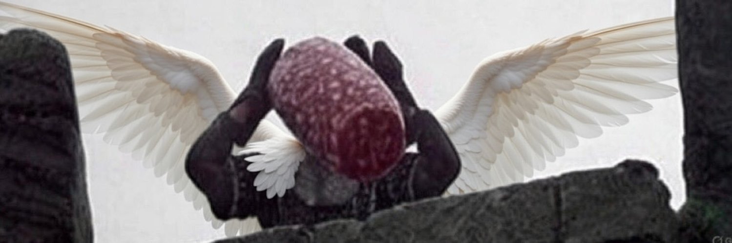 SolamiWings's banner