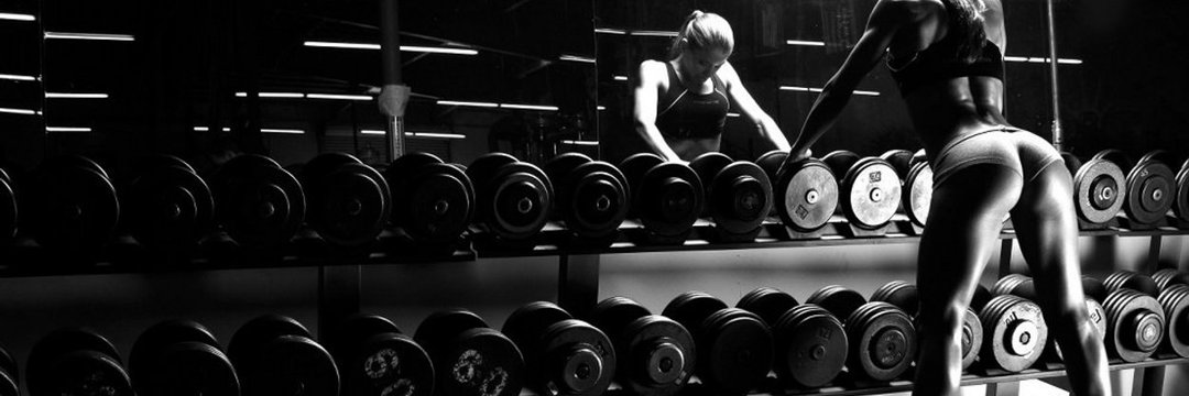 Fitness Plug 💊's banner