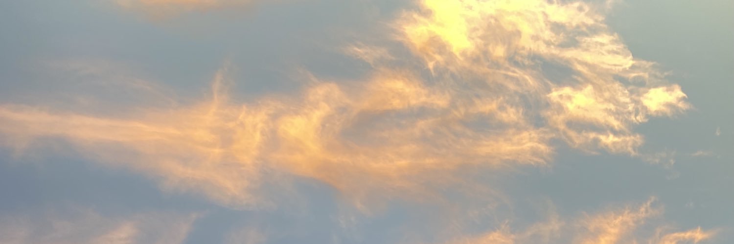 いちご's banner