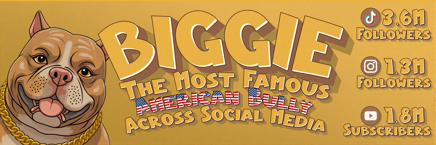 BIGGIE's banner