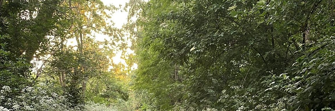 puppy's banner