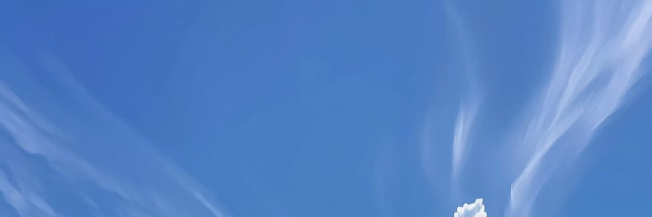 mdks's banner