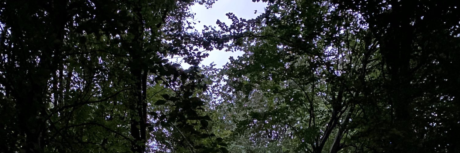blueberry boy's banner