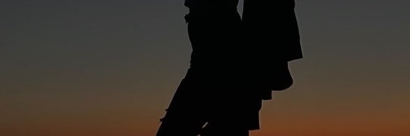 blueberry boy's banner