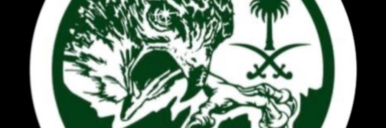 عبدالعزيز's banner