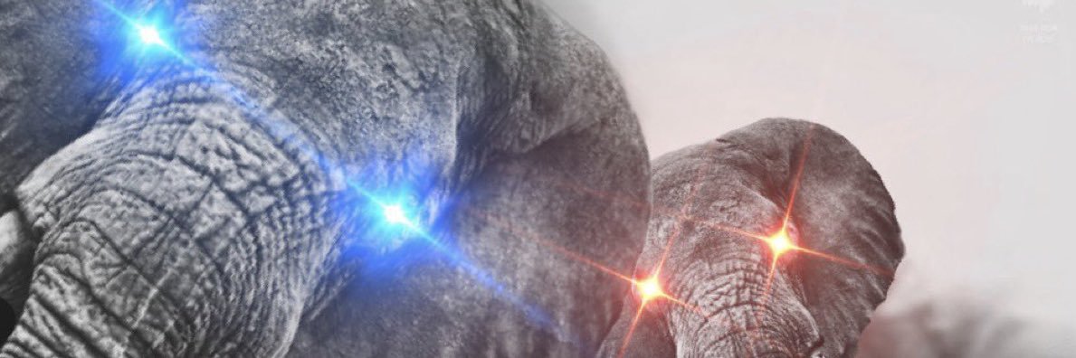 bstn_natso's banner