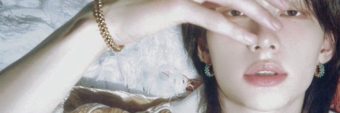 fei's banner