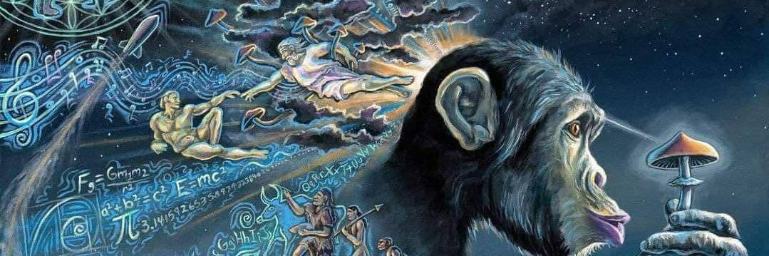 Enlightenment 🧘🏻‍♂️☮️🌍's banner