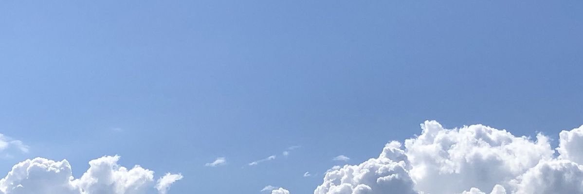 lily poems.'s banner