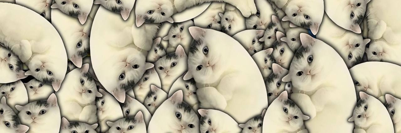 Mooncat's banner