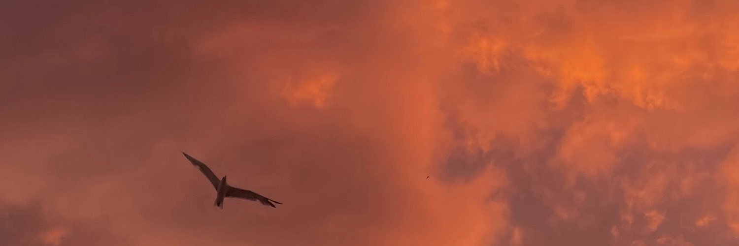 zehra ོ's banner