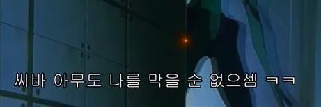 아야노두팔's banner