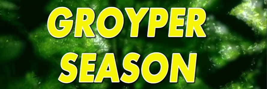 It's STILL Groyper Season's banner