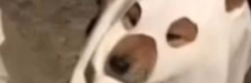 onlygigiluxxe's banner