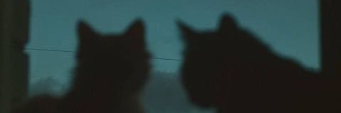 🎈 moose | NSFW's banner