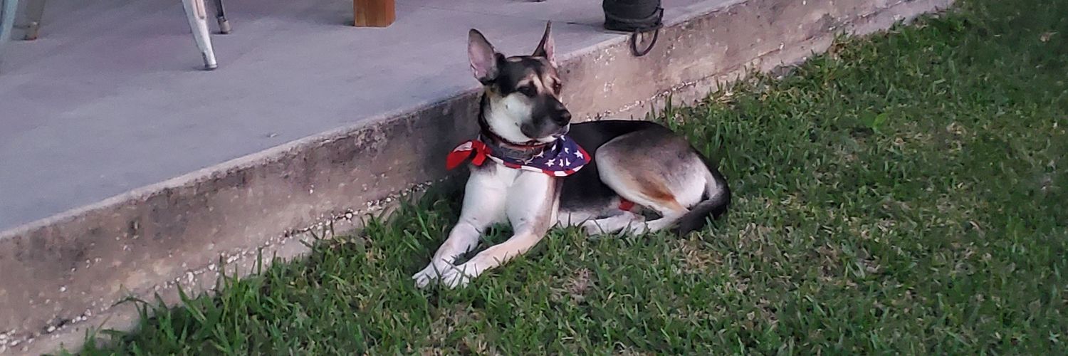 German Shepherd Dad 🇺🇸 & 🔥's banner