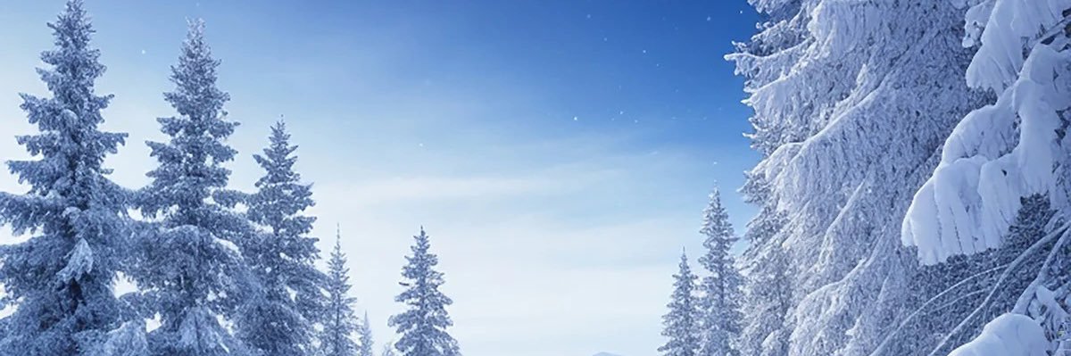 ❄️Snowberry Frost🫐🧊's banner