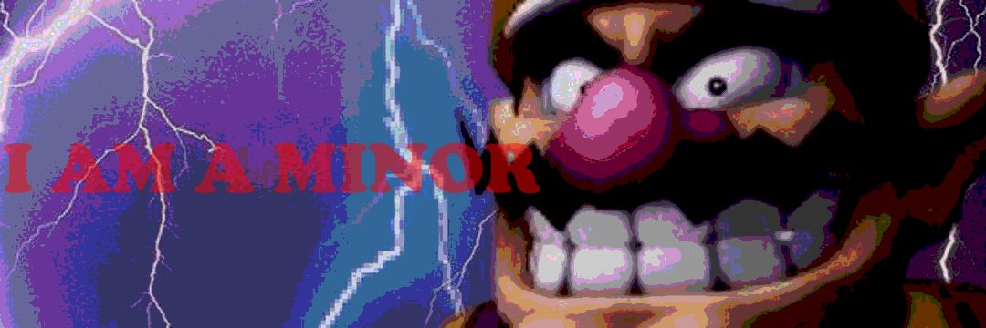 WARIO HIMSELF's banner