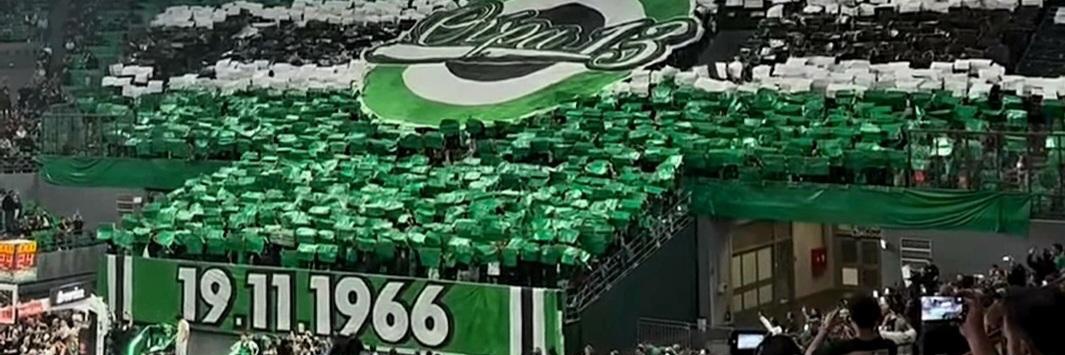 Zelico Obradovic☘️🇬🇷's banner