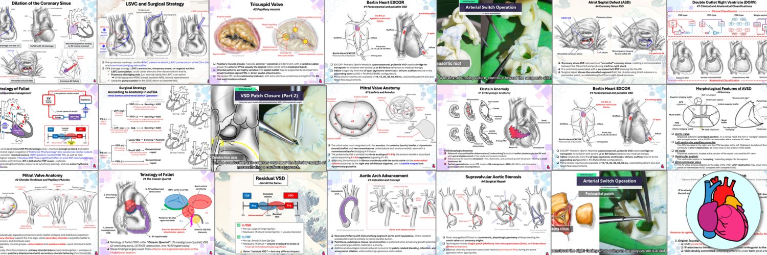 WithAScalpel - Fumiya Yoneyama, MD, PhD's banner