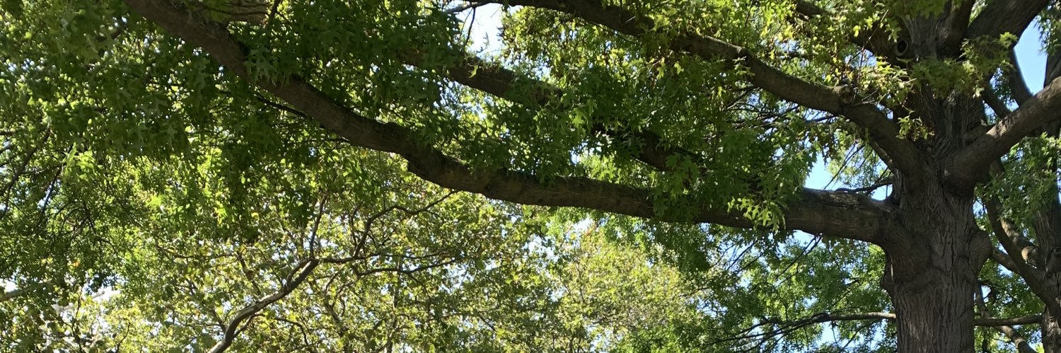 Dadsiren's banner