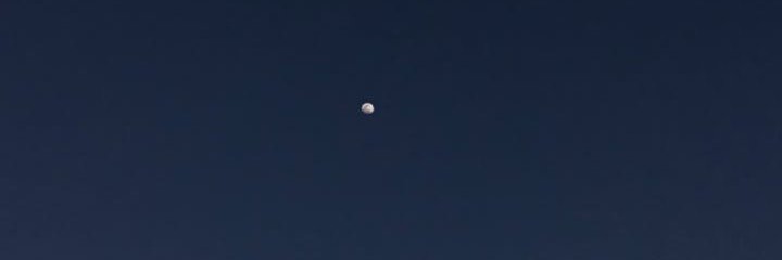 moondew's banner