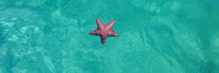 andy 🎸🦈 | jurídico dean 🍓's banner