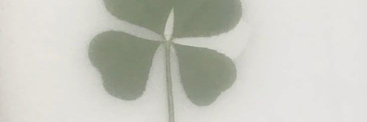 limenerrr's banner