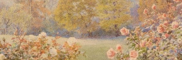 gail ♡'s banner