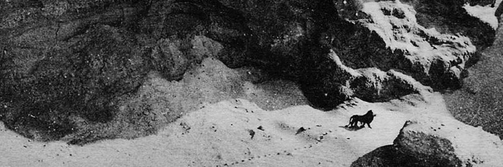 Dr.crack's banner